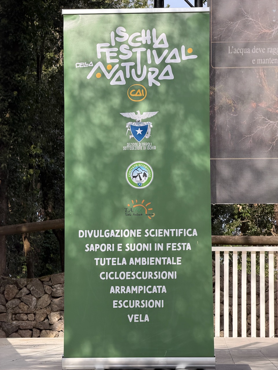 IFN 2026 – 12